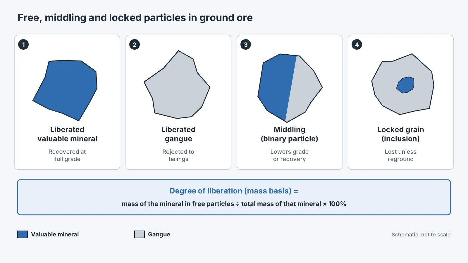 Free, middling and locked ore particles